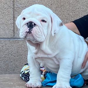 Meet your Posher, Cindy